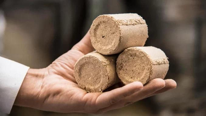 Wood Briquettes